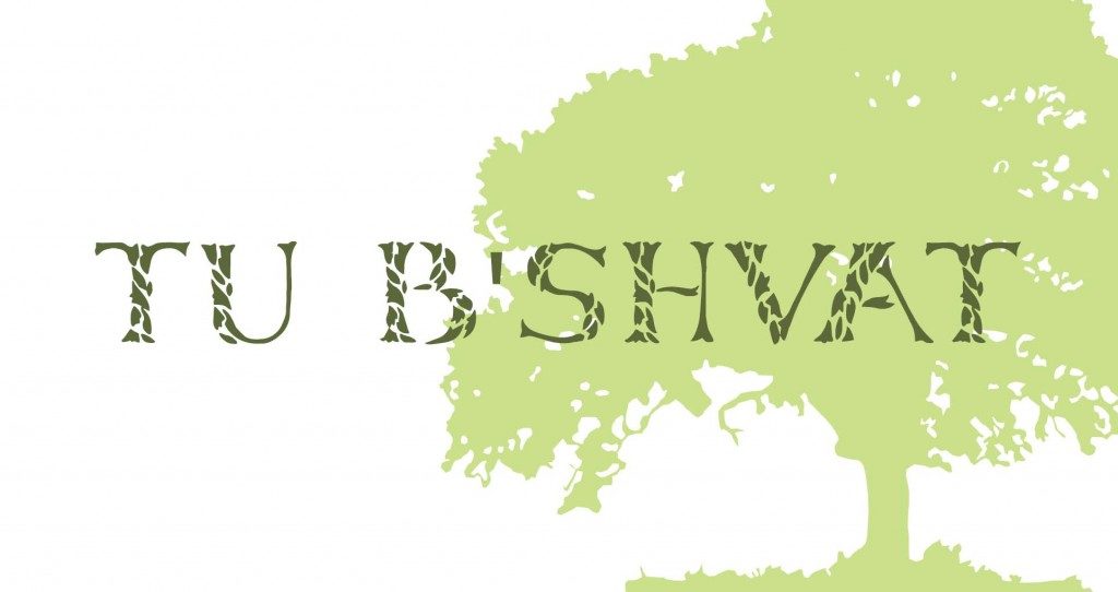 Meet us at the Park for Tu B’Shevat!